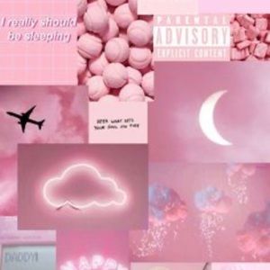 Meet your Posher, Catherine